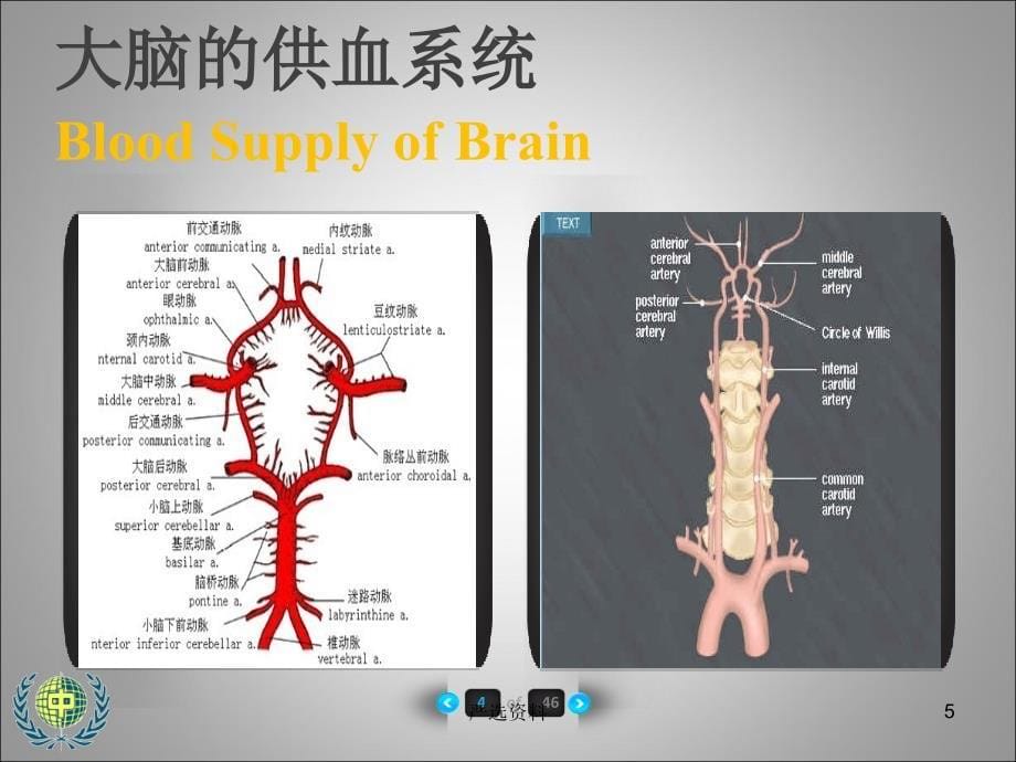 院士讲稿 “通关利窍”针刺法治疗脑干梗死吞咽障碍的临床研究（行业荟萃）_第5页