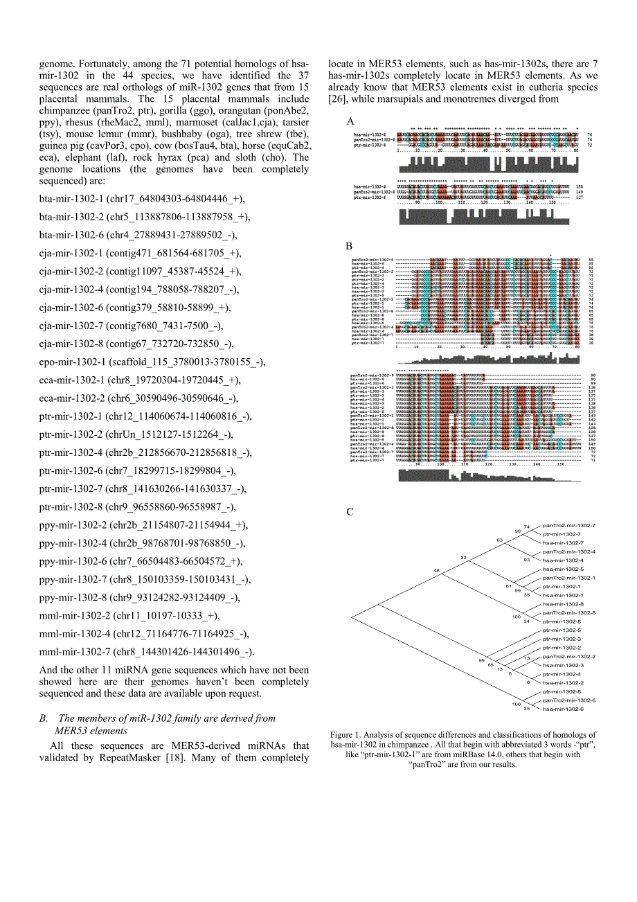 外文翻译--Genome-wide identification of orthologs of miR-1302 genes in placental mammals_第2页