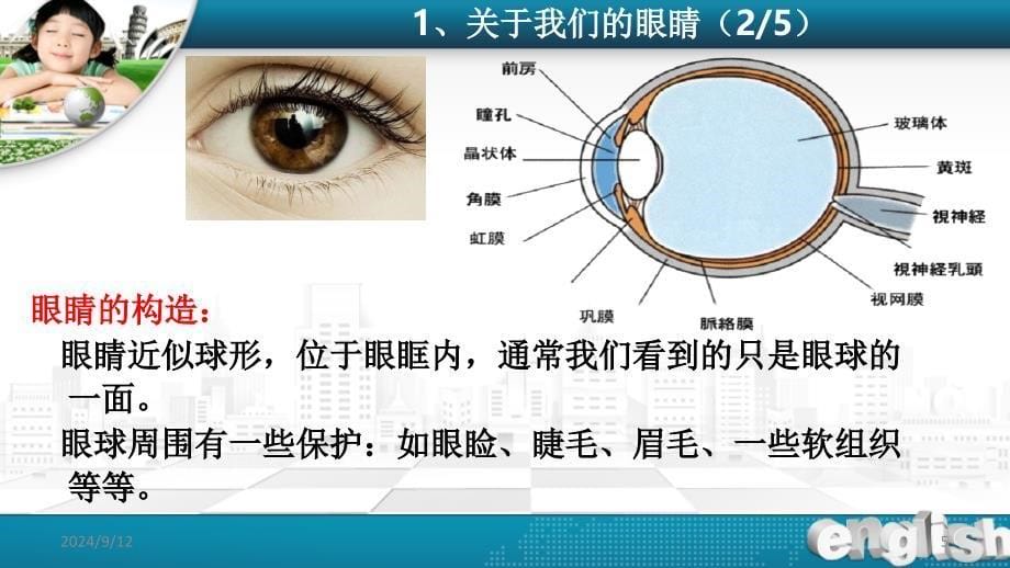 小学生爱眼护眼知识讲座课堂PPT_第5页