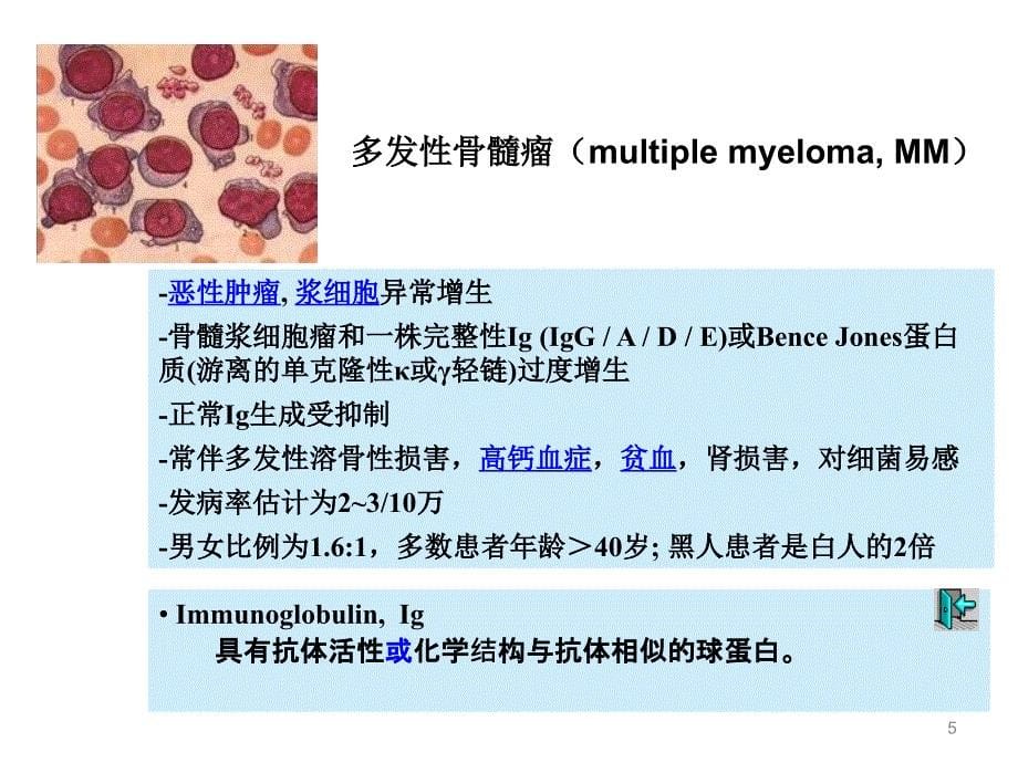 医学免疫学教学课件：免疫球蛋白_第5页