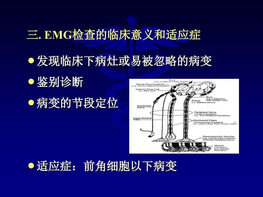 肌电图和脑诱发电位-崔丽英_第5页