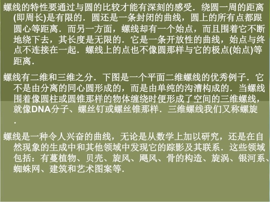 《大自然中的数学》数学课前三分钟_第5页