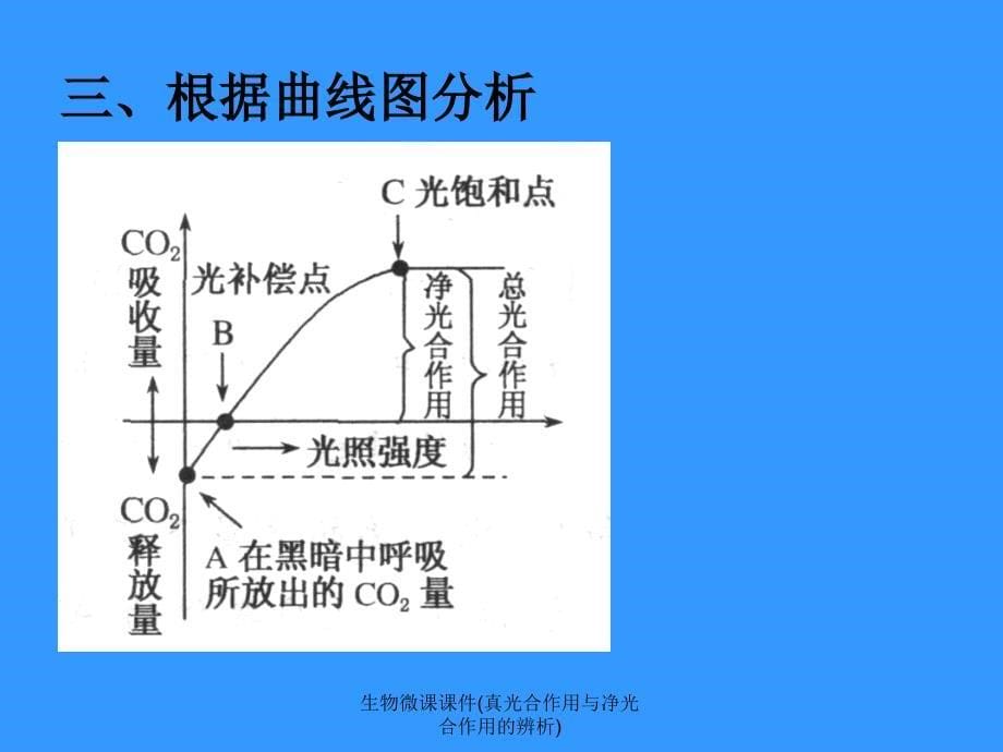 生物微课课件(真光合作用与净光合作用的辨析)课件_第5页