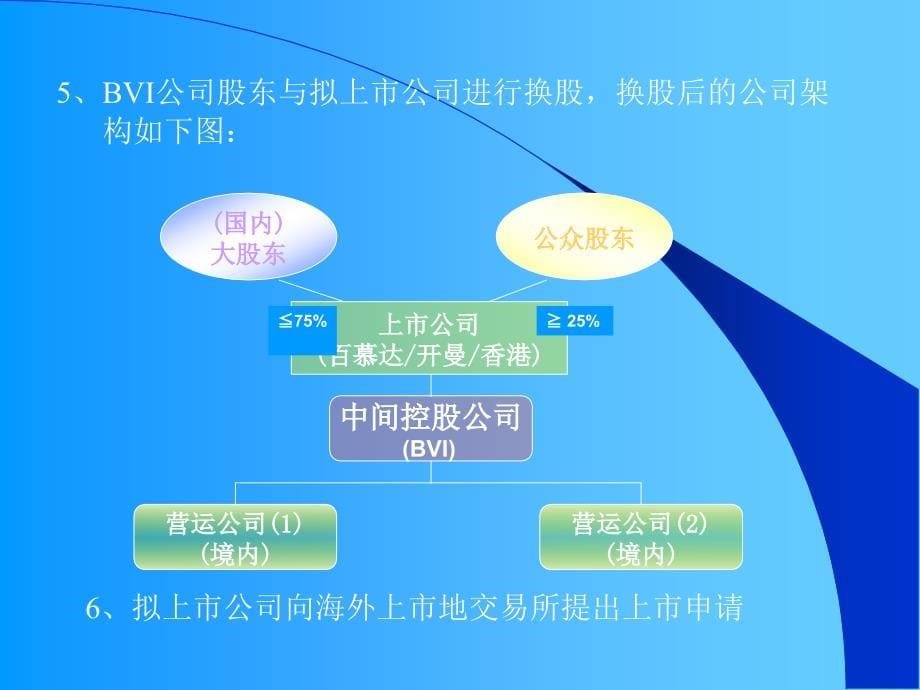 红筹形式海内上市之中国司法题目(廖新志)[资料]_第5页