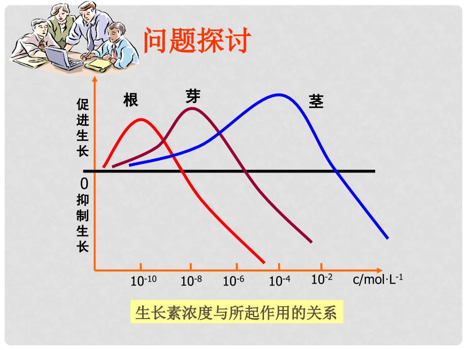 高中生物 3.2 生长素的生理作用课件1 新人教版必修3_第2页