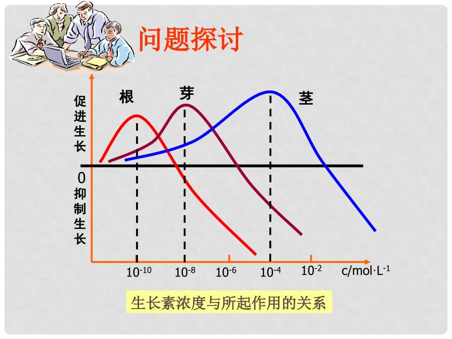 高中生物 3.2 生长素的生理作用课件1 新人教版必修3_第3页