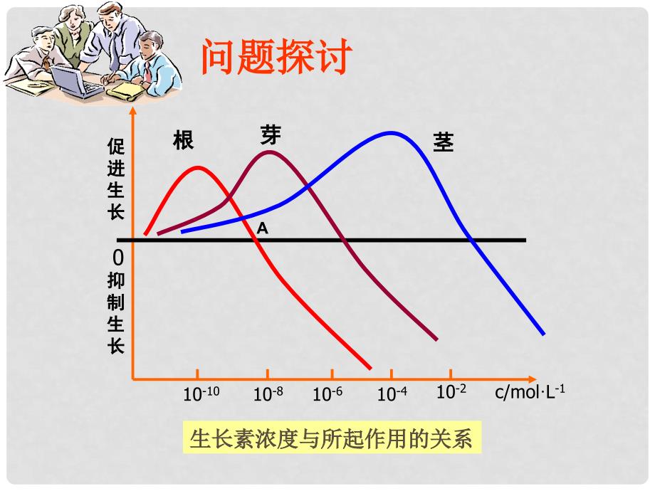 高中生物 3.2 生长素的生理作用课件1 新人教版必修3_第4页