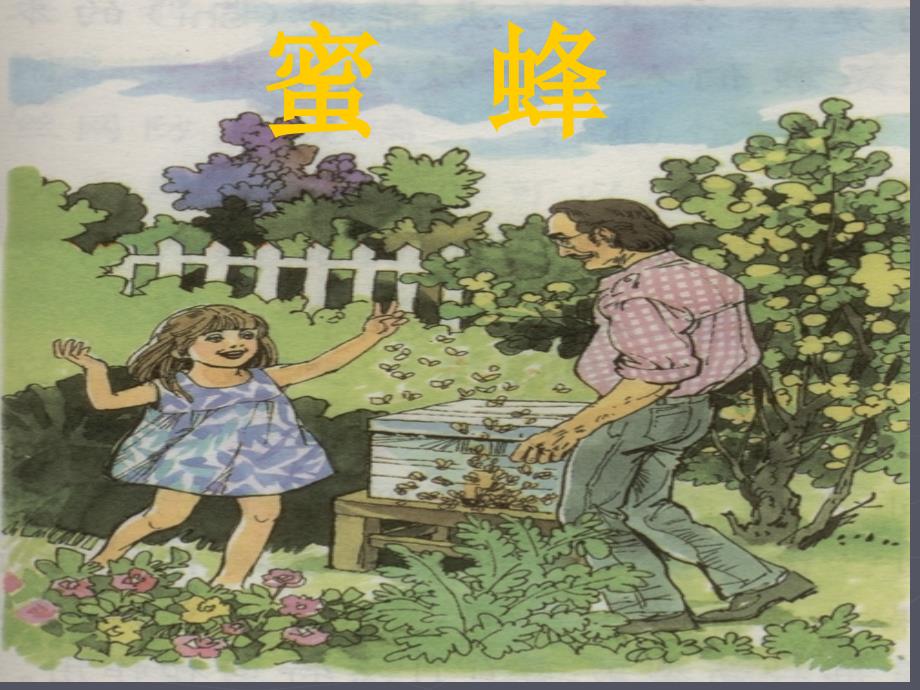 14《蜜蜂》课件1_第1页