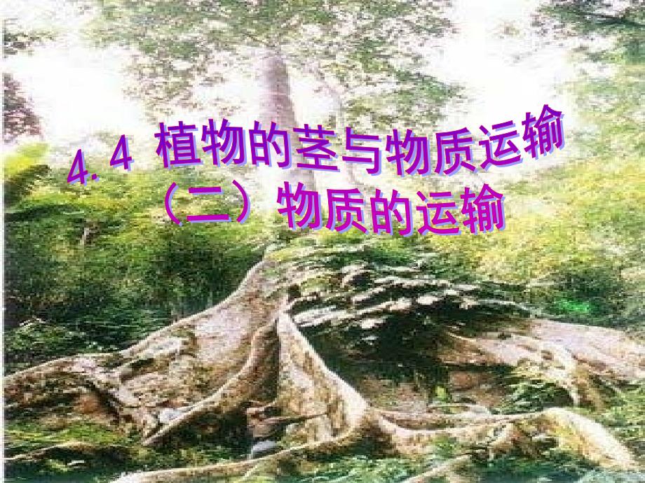 八年级科学下册 4.4《植物的茎与物质运输》课件4 浙教版_第1页