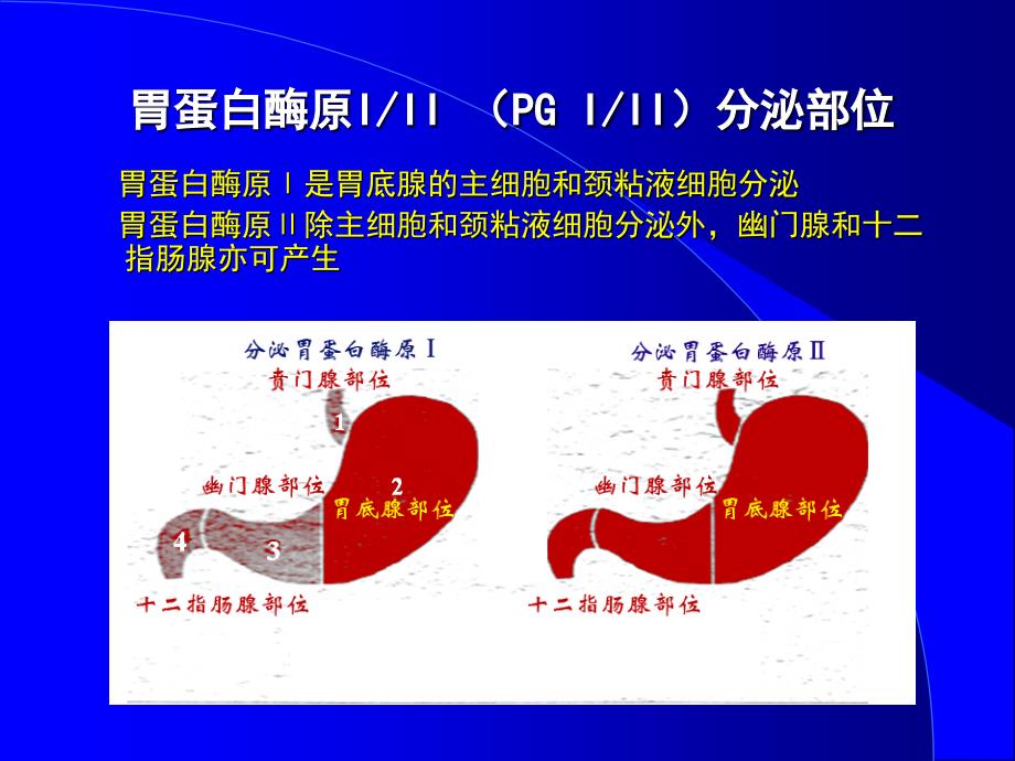 胃蛋白酶原PG简介_第4页