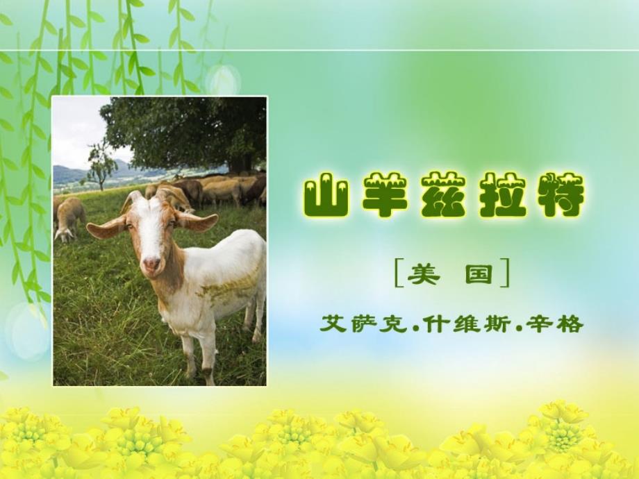 《山羊兹拉特》(课件).ppt_第1页