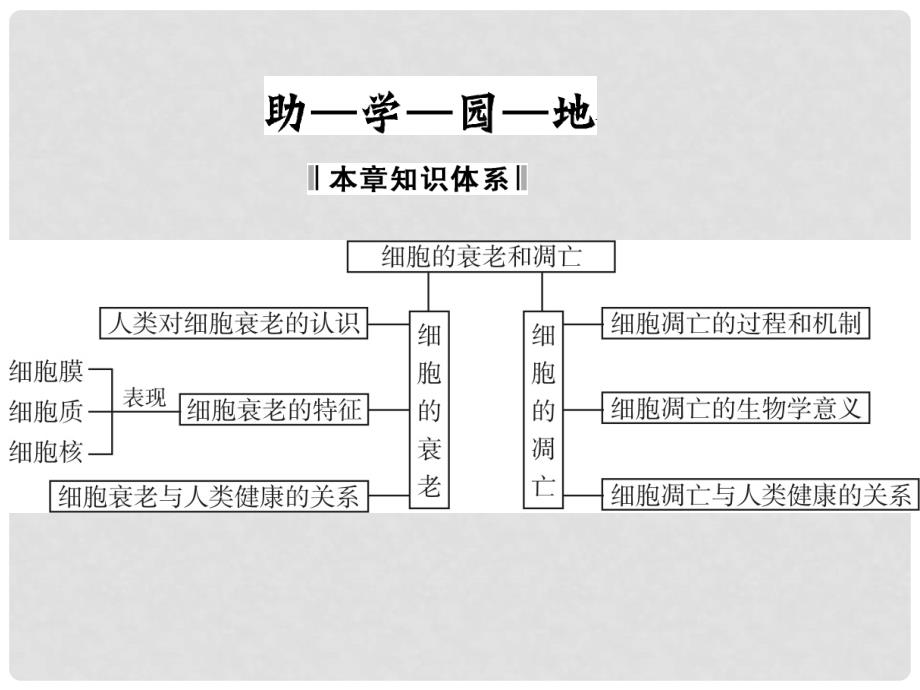 高中生物 第四单元 细胞的生命周期 第二章 细胞的衰老与凋亡章末课件 中图版必修1_第2页