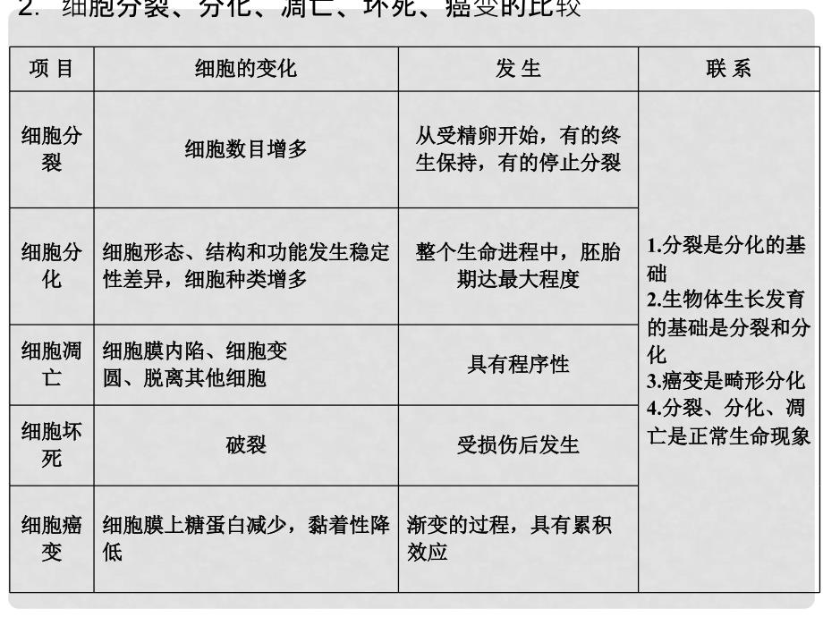 高中生物 第四单元 细胞的生命周期 第二章 细胞的衰老与凋亡章末课件 中图版必修1_第4页