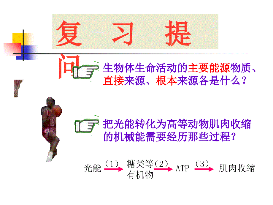 《细胞呼吸浙教版》PPT课件_第2页