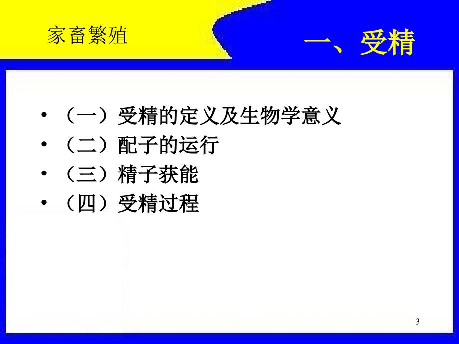 第五部分受精妊娠与妊娠诊断教学课件_第3页