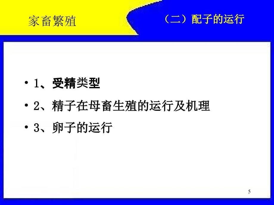 第五部分受精妊娠与妊娠诊断教学课件_第5页