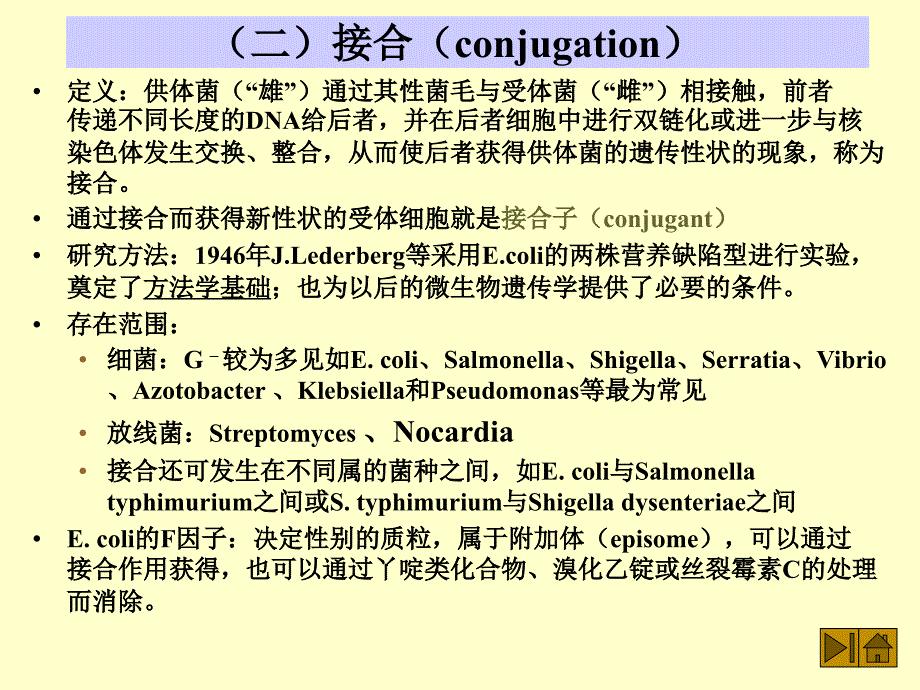 二接合conjugation_第1页