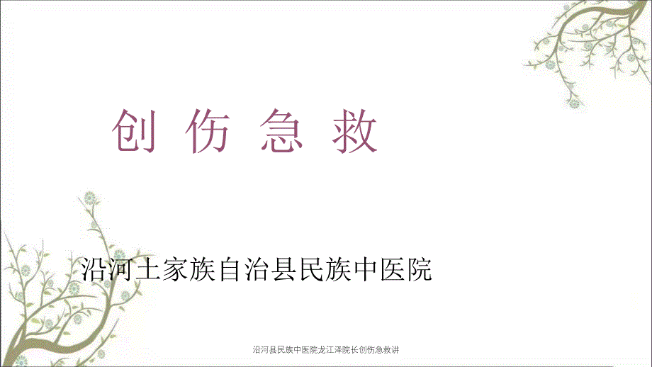 沿河县民族中医院龙江泽院长创伤急救讲课件_第1页