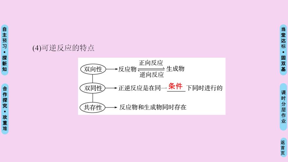 化学反应的限度和化学反应条件的控制ppt课件_第4页