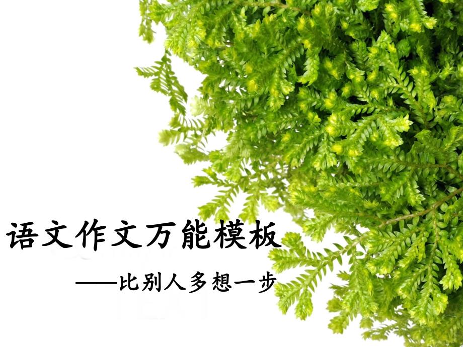 语文作文万能模板(初中).ppt_第1页