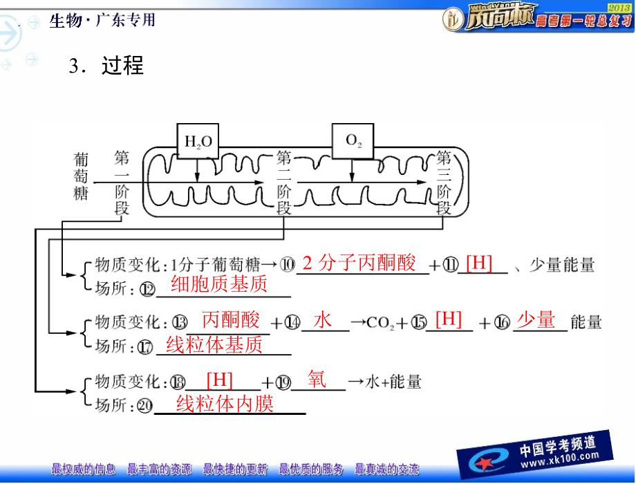 必修1第5章第3节atp的主要来源——细胞呼吸PPT文档资料_第3页