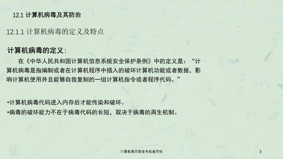 计算机系统安全与社会责任课件_第3页