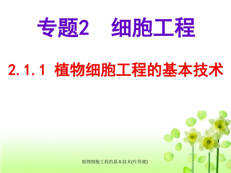 植物细胞工程的基本技术叶伟健课件_第1页