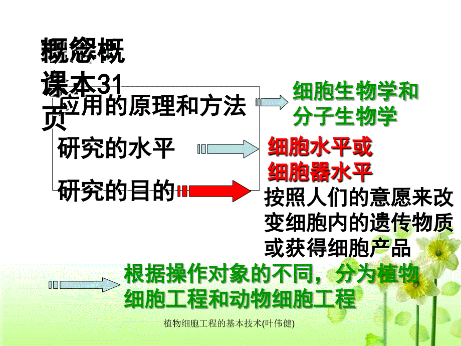 植物细胞工程的基本技术叶伟健课件_第3页