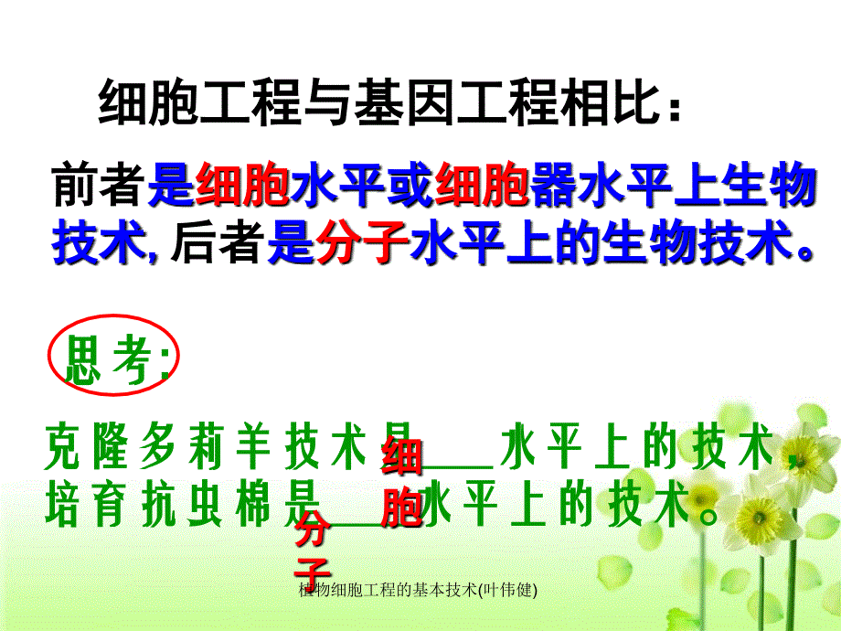 植物细胞工程的基本技术叶伟健课件_第4页