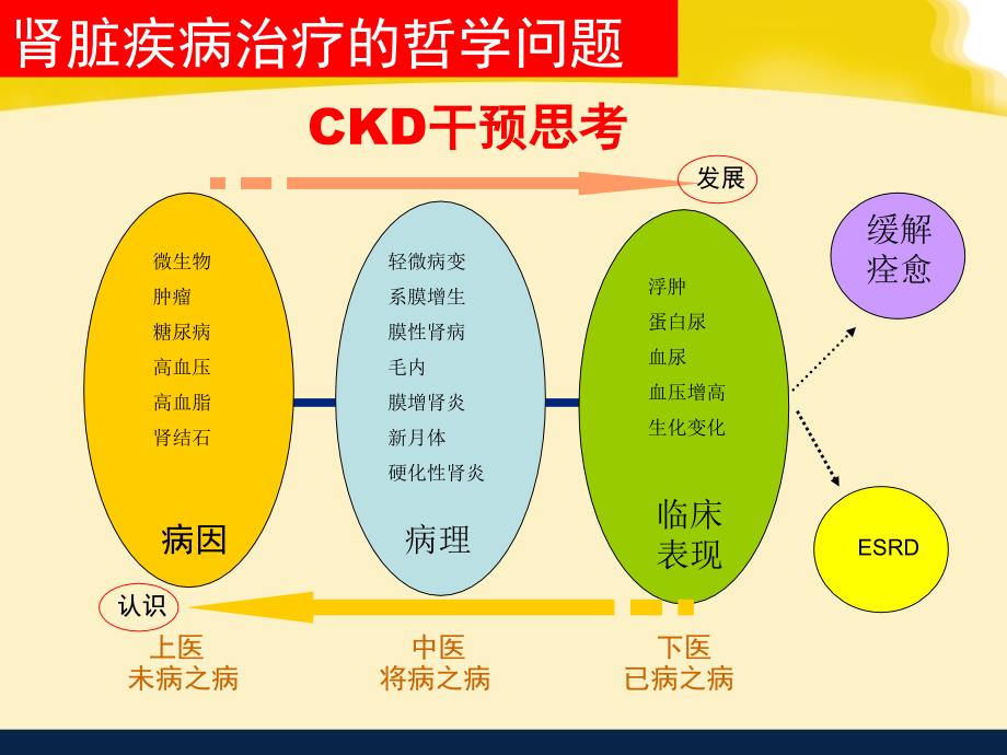 慢性肾脏疾病治疗思考_第4页