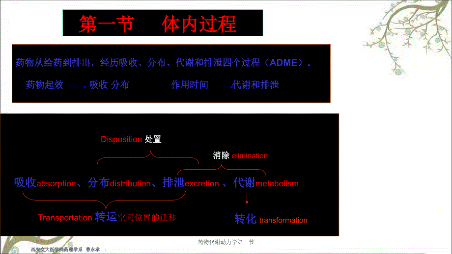 药物代谢动力学第一节_第3页