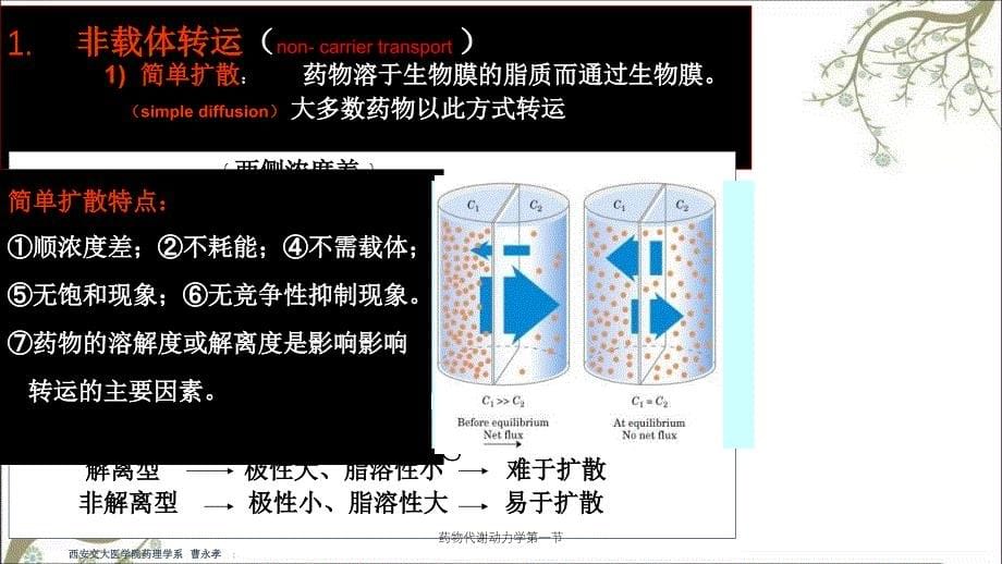 药物代谢动力学第一节_第5页