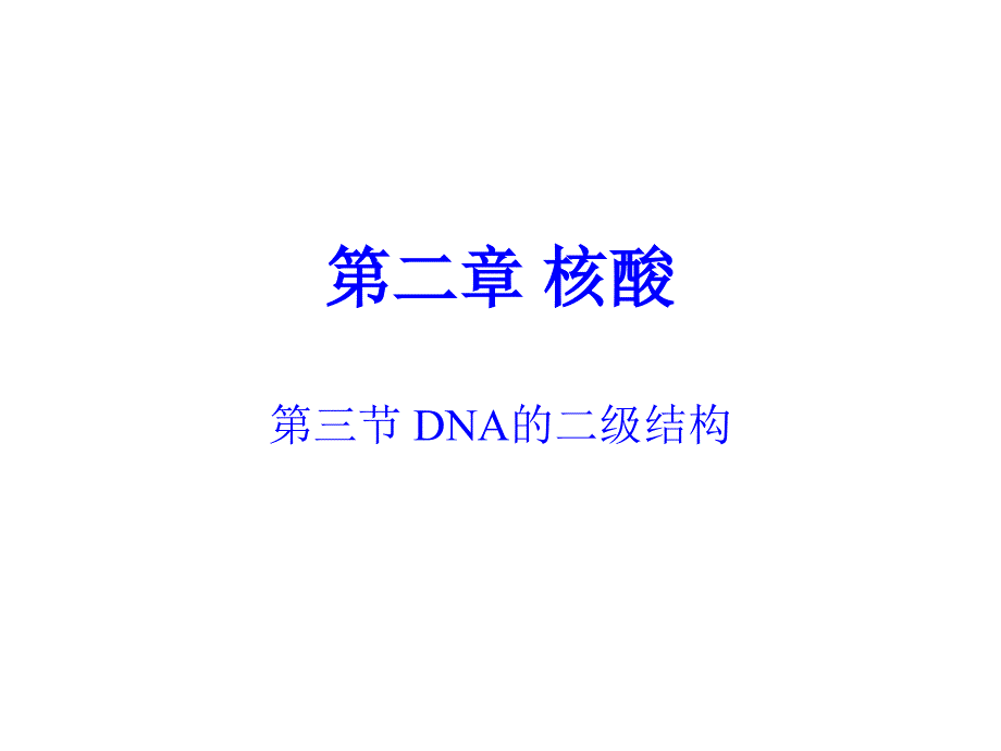 DNA的二级结构课件_第1页