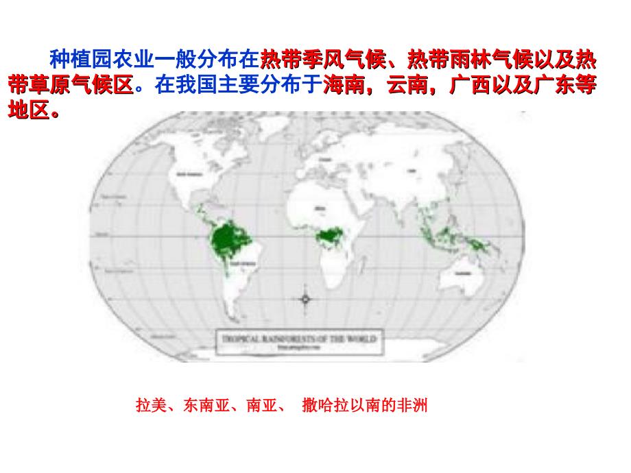 热带种植园农业迁移农业_第3页