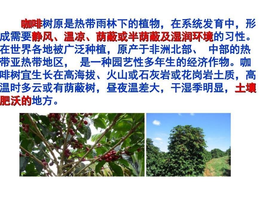 热带种植园农业迁移农业_第5页