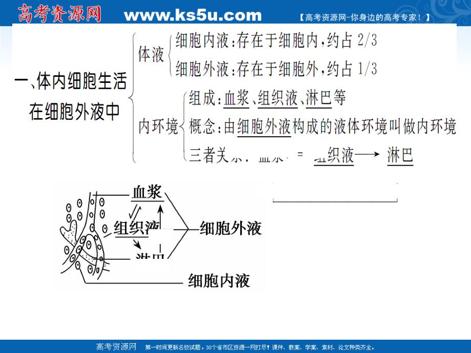 1章人体的内环境与稳态人教版必修三_第2页