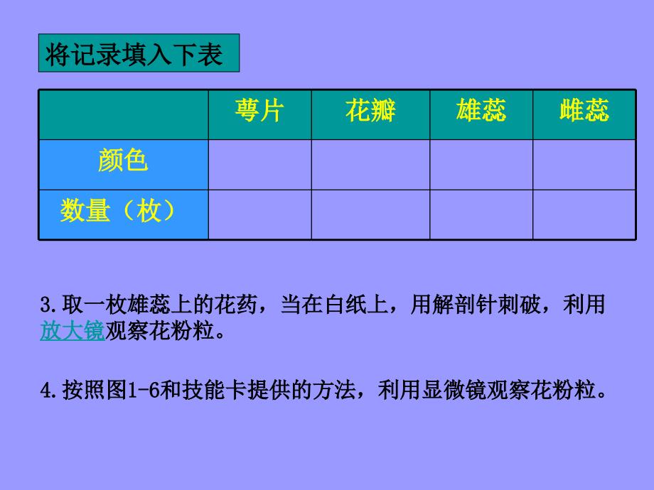 生物：1.2学会观察课件(冀教版七年级上)_第3页