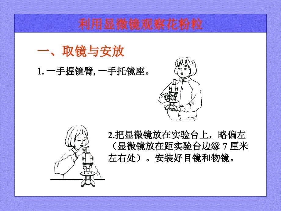 生物：1.2学会观察课件(冀教版七年级上)_第5页