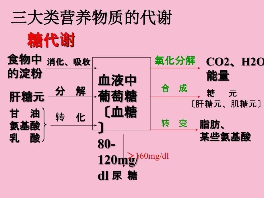 人体动物获取食物中包含营养物质有ppt课件_第5页