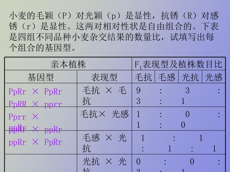 自由组合定律技巧_第3页