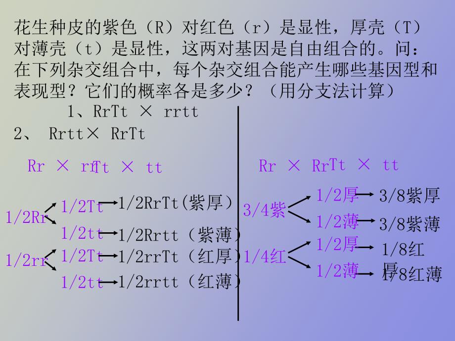 自由组合定律技巧_第4页