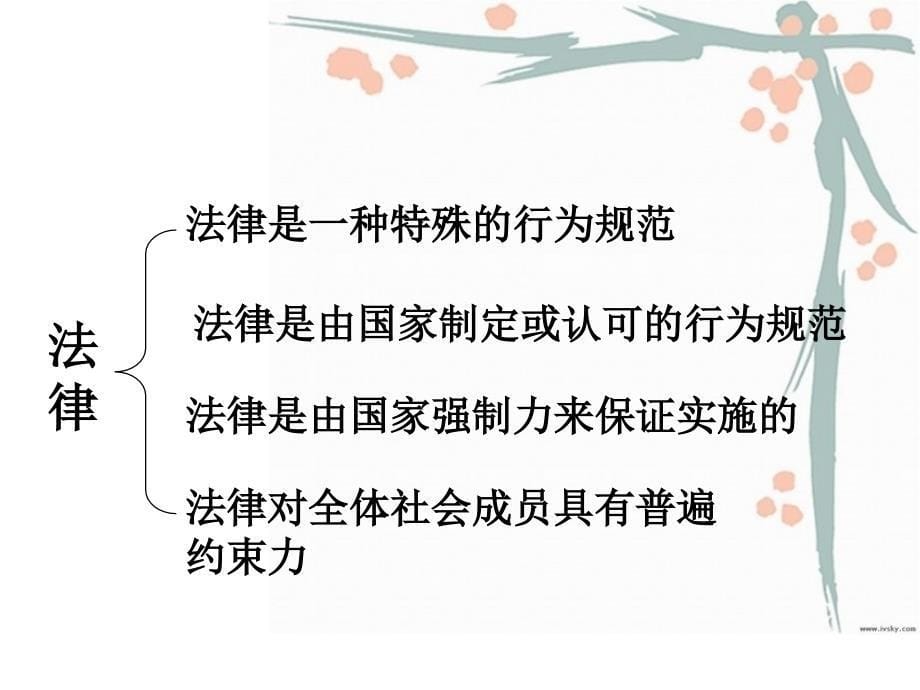 法律规定了公民的权利和义务_第5页