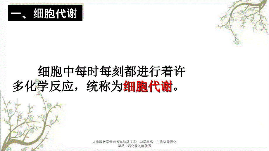 人教版教学云南省弥勒县庆来中学学年高一生物51降低化学反应活化能的酶优秀_第3页