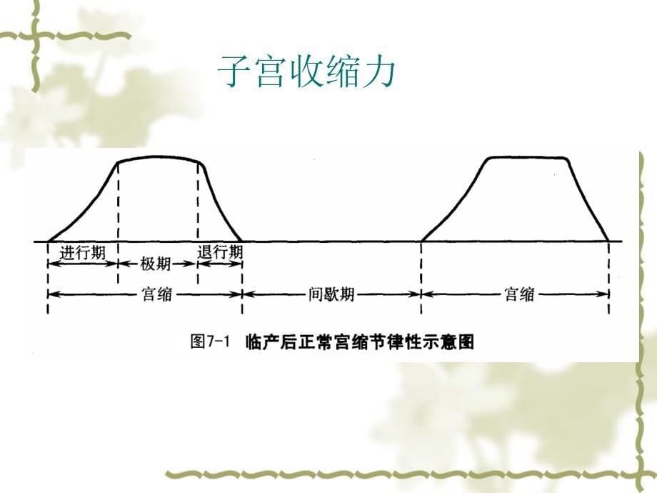 顺产产程的观察及处理课件_第5页