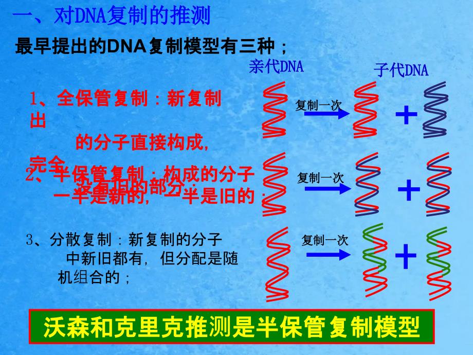 人教版高中生物必修二3.3DNA的复制ppt课件_第2页