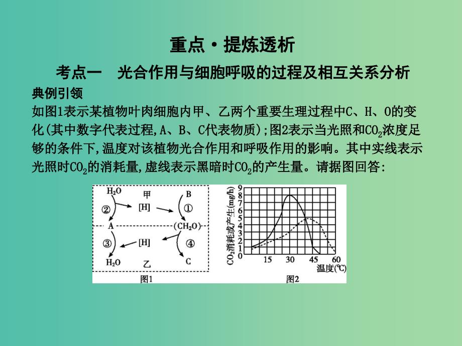 高三生物二轮复习 专题二 细胞的代谢 5 细胞呼吸与光合作用课件.ppt_第4页