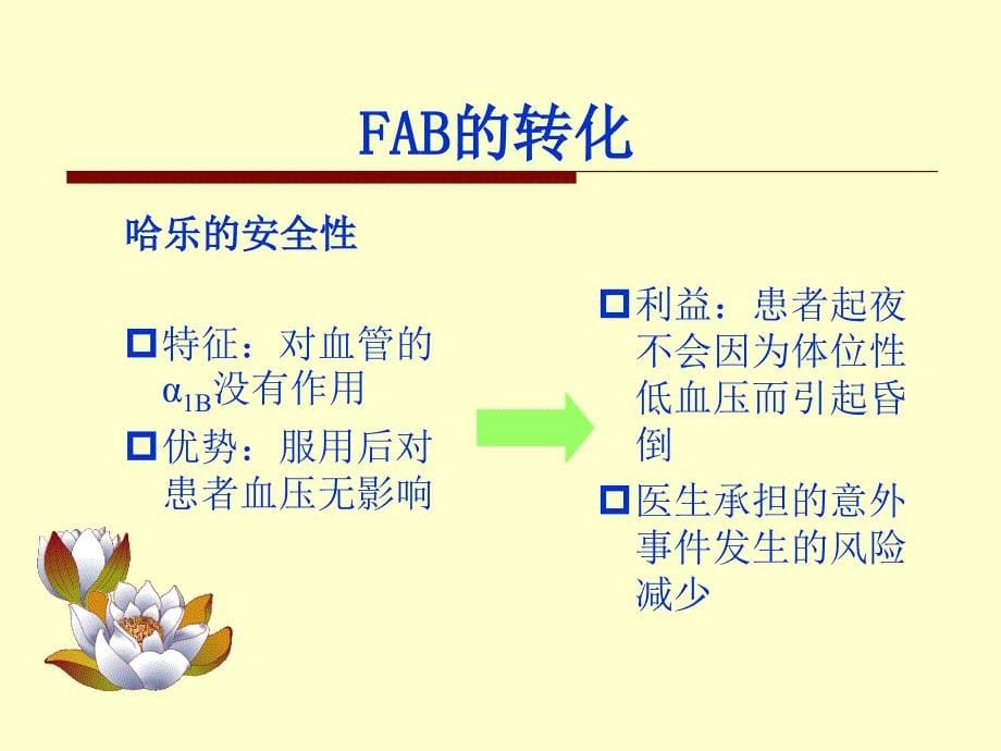 《FAB竞争分析》PPT课件.ppt_第5页