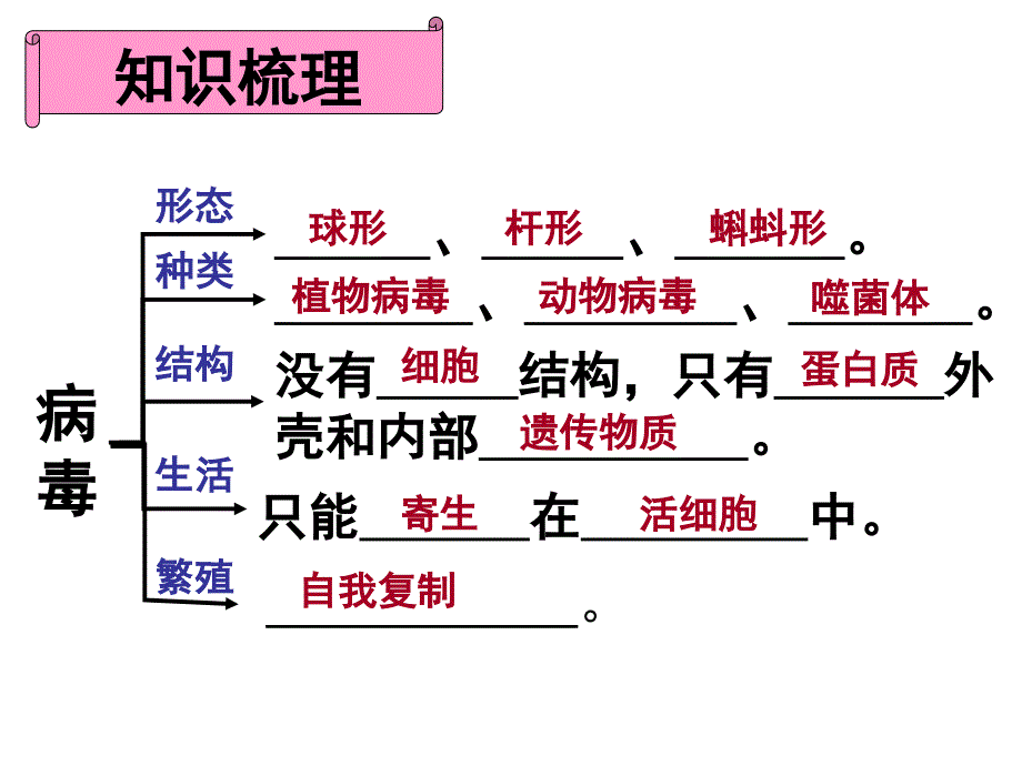 济南版七上第二单元动物微生物生物分类共75张PPT_第2页