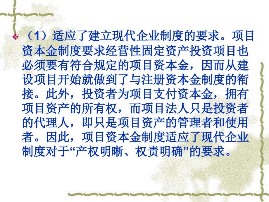 项目法人不承担这部分资金的任何利息和债务_第5页