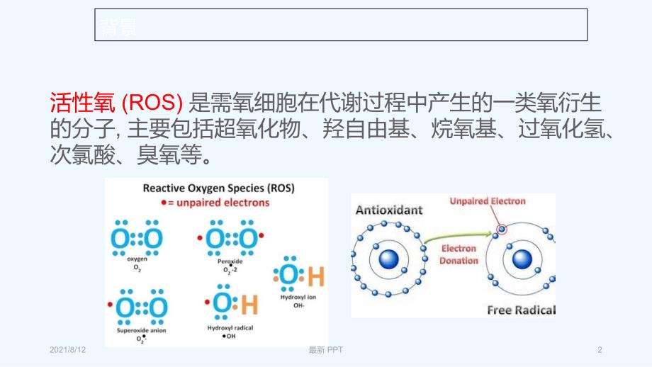 ROS和纤维化疾病精品课件讲座_第2页